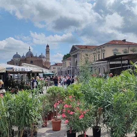 Mini-appartamento Indipendente Vicino Ospedale - Galileo 3*